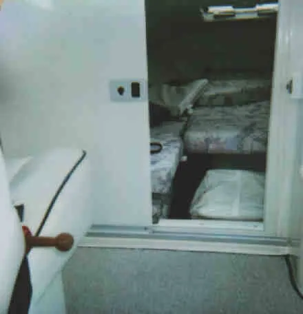 Slide: The Image of Larson 215 Hampton Cuddy 1996 - 2