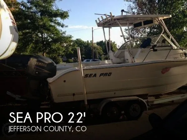 Slide: The Image of Sea Pro 220 Walk Around 2005 - 0