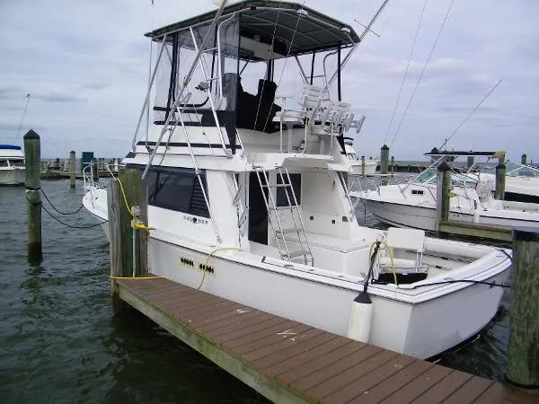 Slide: The Image of Black Watch 30 Sportfisherman 1990 - 1