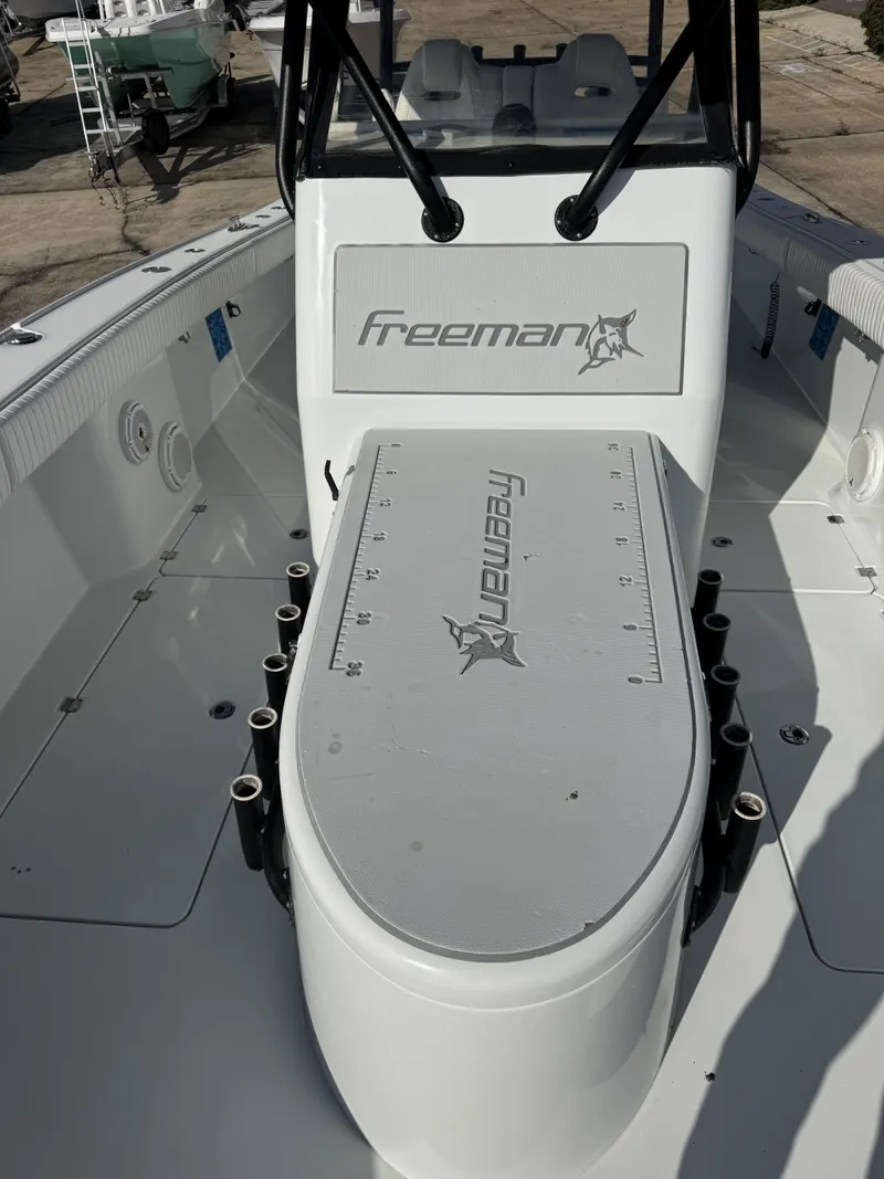 Slide: The Image of Freeman 34VH 2019 - 21