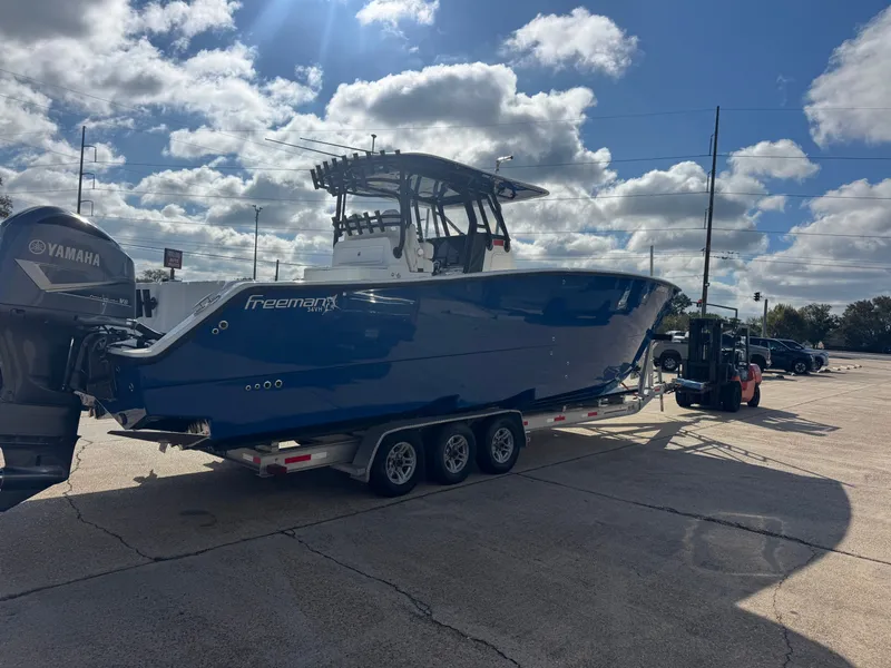 Slide: The Image of Freeman 34VH 2019 - 5