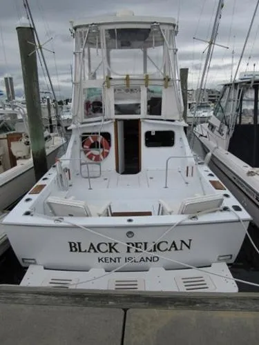 Slide: The Image of Bertram Sport Fisherman 1978 - 6