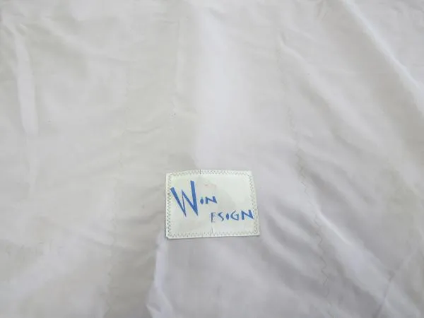 Slide: The Image of Laser Race 2011 - 7