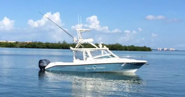Slide: The Image of Everglades 350 LX 2009 - 0
