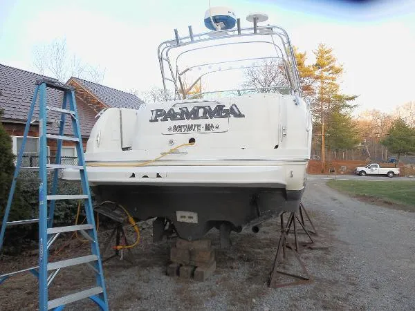 Slide: The Image of Sea Ray Amberjack 2001 - 2