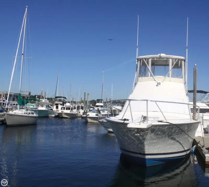 Slide: The Image of Luhrs 350 Tournament 1991 - 5