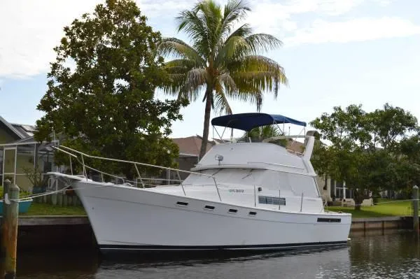 Slide: The Image of Bayliner Explore 1984 - 0