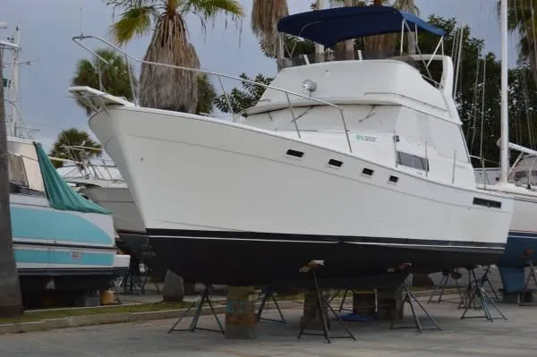 Slide: The Image of Bayliner Explore 1984 - 4