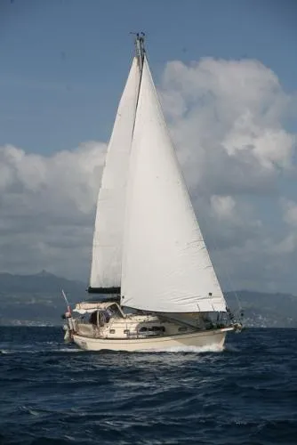 Slide: The Image of Island Packet 350 1999 - 1