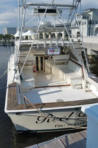 Slide: The Image of Viking Express Sportfish 1985 - 6