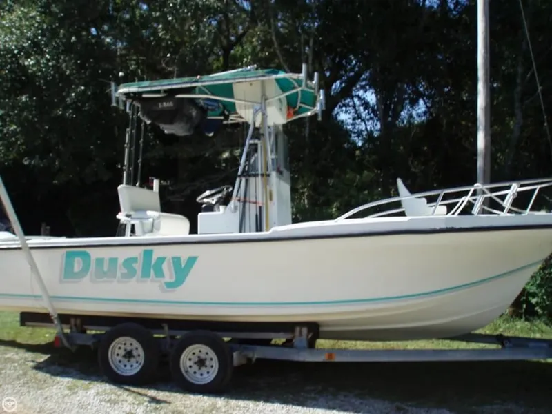 Slide: The Image of Dusky 227 1994 - 1