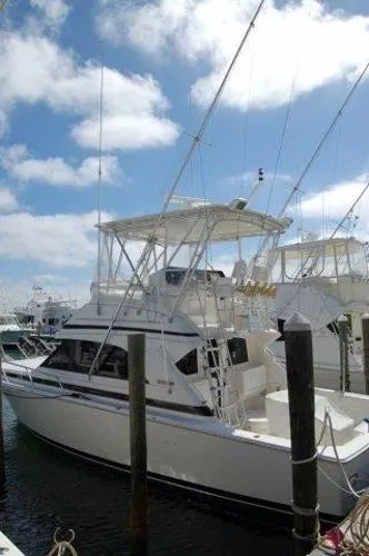 Slide: The Image of Bertram 36 Convertible 1997 - 1