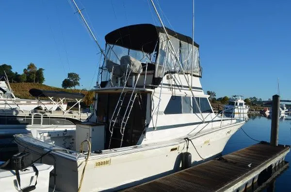 Slide: The Image of Viking 35 Convertible 1981 - 1