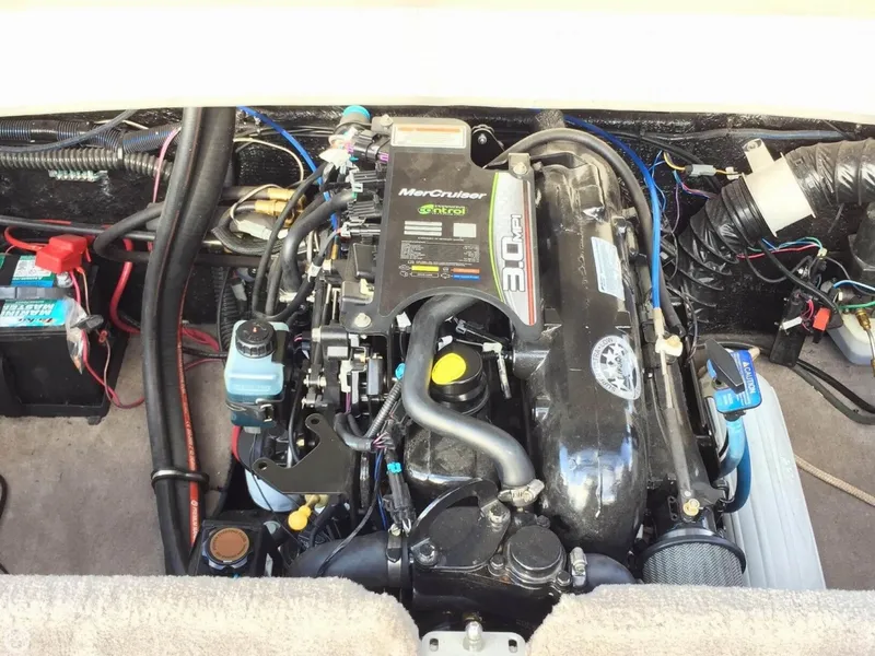 Slide: The Image of Stingray 195 RX 2012 - 3