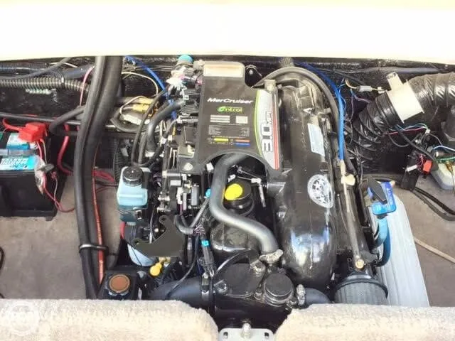 Slide: The Image of Stingray 195 RX 2012 - 8