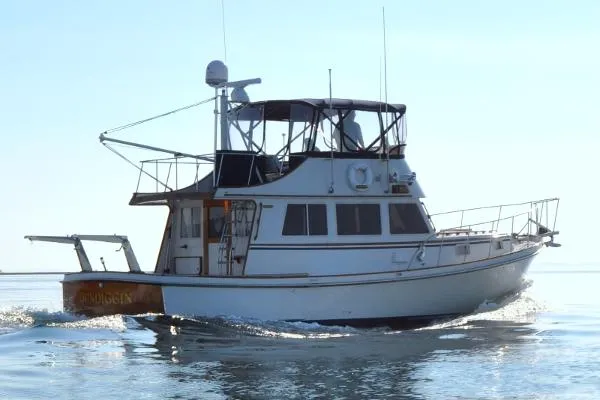 Slide: The Image of Jarvis Newman 38 Flybridge Cruiser 1984 - 4