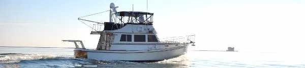 Slide: The Image of Jarvis Newman 38 Flybridge Cruiser 1984 - 8