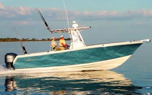 Slide: The Image of Sailfish 290 CC 2015 - 1