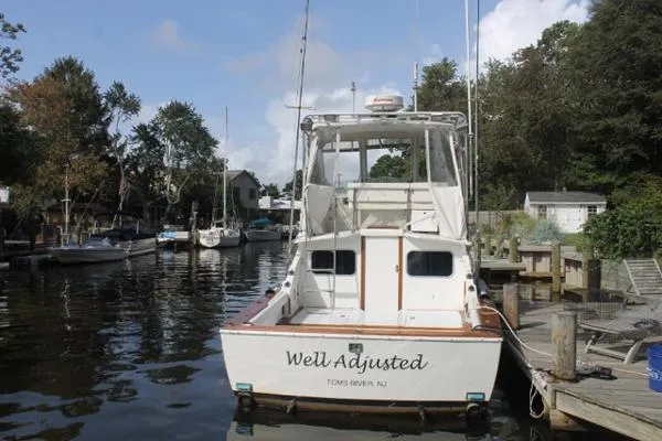 Slide: The Image of Bertram Flybridge Cruiser 1972 - 6