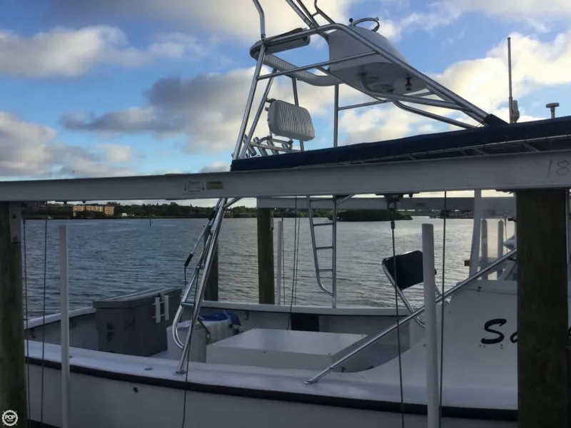 Slide: The Image of Sabalo 32 2000 - 2