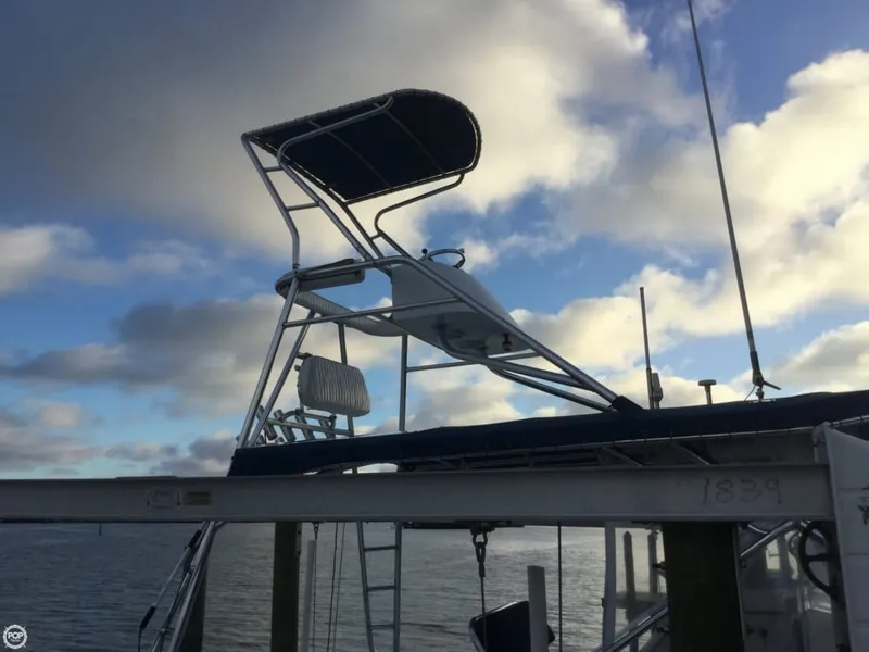 Slide: The Image of Sabalo 32 2000 - 3