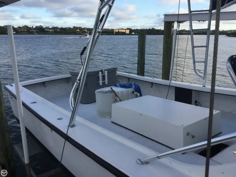 Slide: The Image of Sabalo 32 2000 - 6