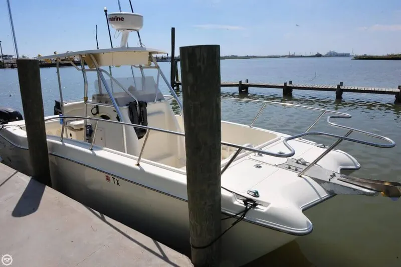 Slide: The Image of World Cat 246 Sport Fish 1998 - 6