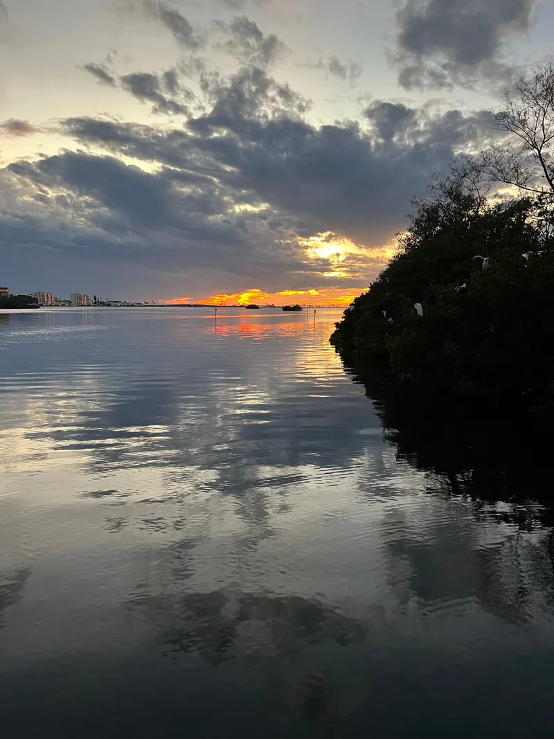 Slide: The Image of Sea Ray SDX 250 Outboard 2023 - 22