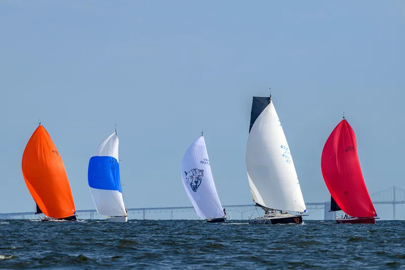 Slide: The Image of Sailboats with colorful spinnakers racing on open water, featuring a 2007 Class 40 Akilaria. - 7