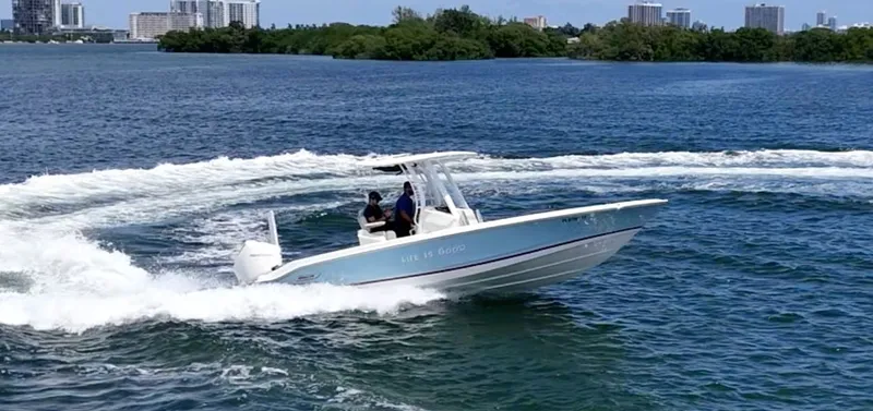 Slide: The Image of Boston Whaler 250 Dauntless 2022 cruising on the water. - 2