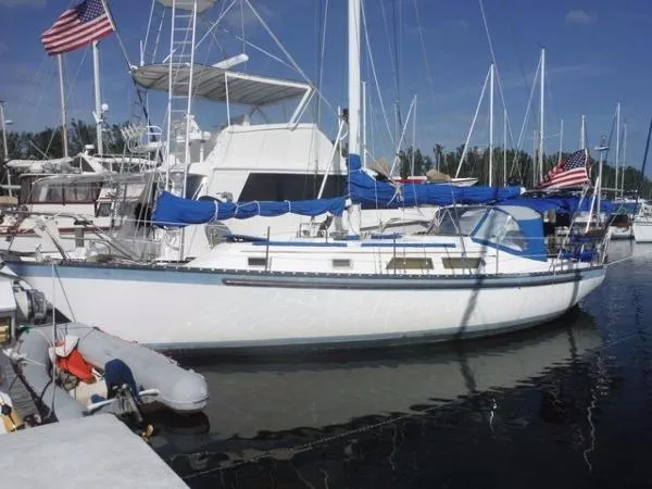 Slide: The Image of Hunter Cherubini Cutter 1984 - 0