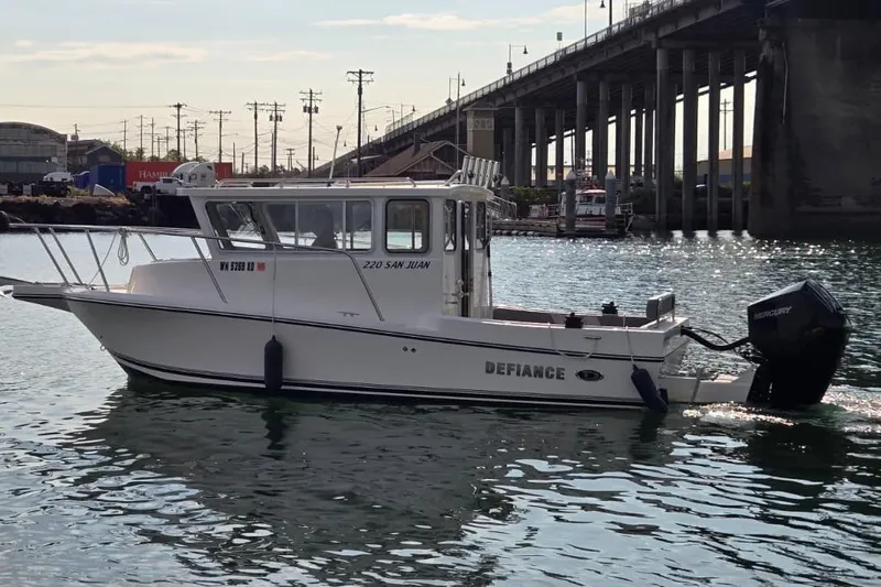 The Image of 2023 Defiance San Juan 220 boat on water near a bridge. - 0