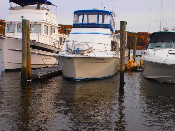 Slide: The Image of Egg Harbor Sport Fisherman 1988 - 1
