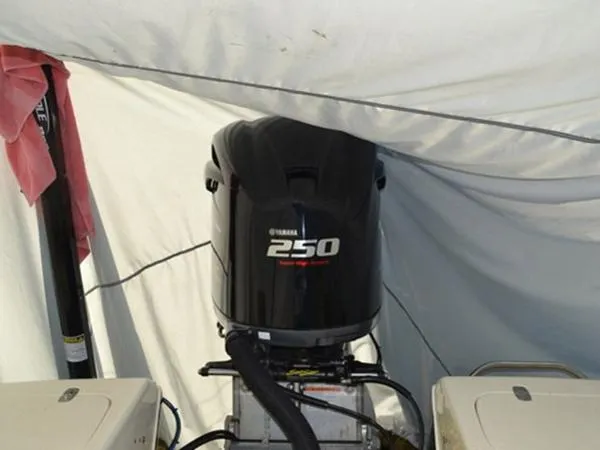 Slide: The Image of Scout 221 Winyah Bay 2010 - 8