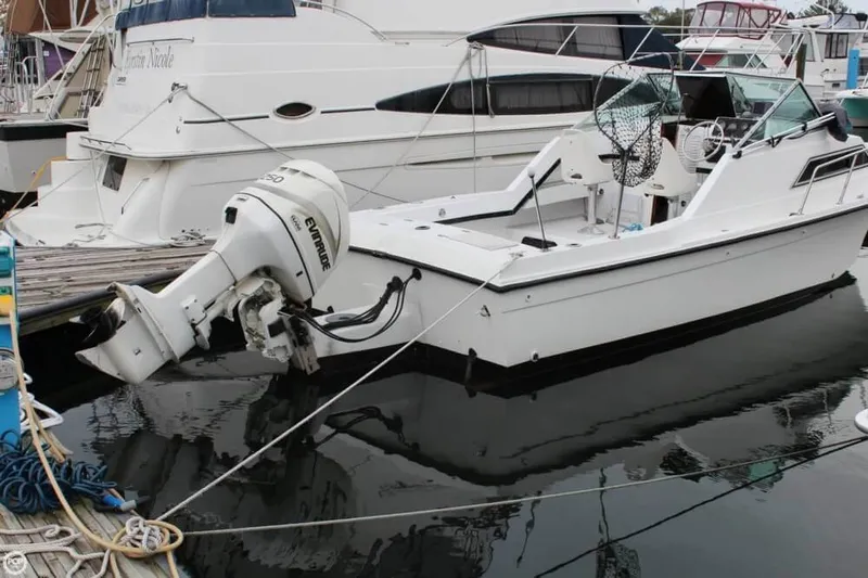 Slide: The Image of Wellcraft 25 Sportsman 1987 - 5