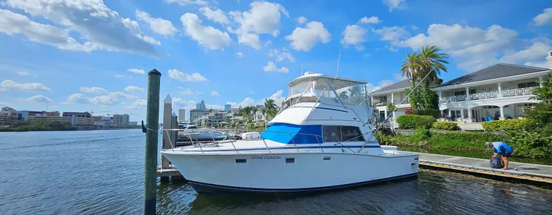 The Image of 1982 Bertram 38 Convertible yacht docked by waterfront homes under a blue sky. - 0