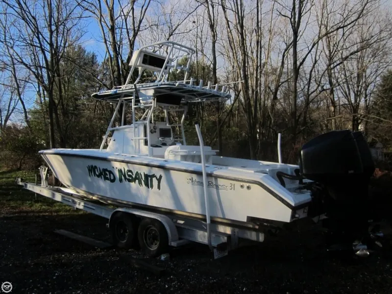 Slide: The Image of Island Runner 31 2001 - 3