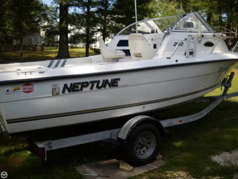 Slide: The Image of Sunbird Neptune 202 1994 - 11