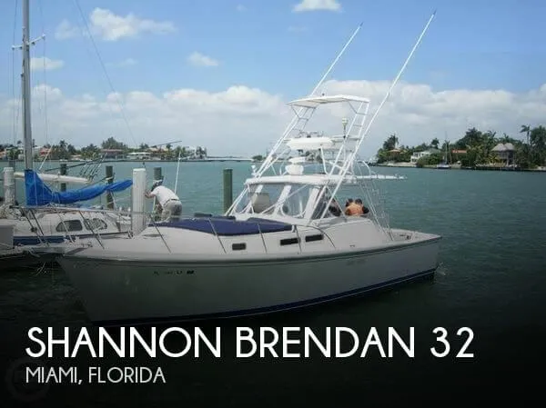 Slide: The Image of Shannon Brendan 32 1989 - 0