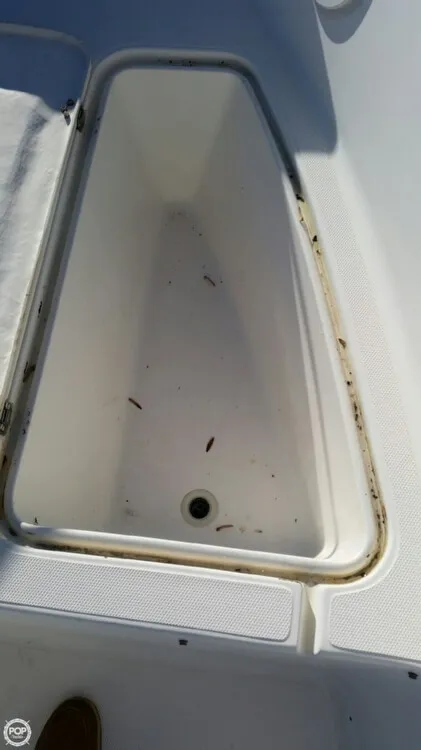 Slide: The Image of Wellcraft 238 Center Console 1995 - 5