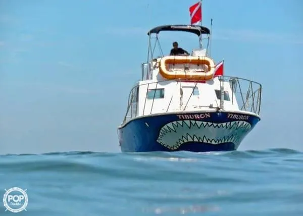 Slide: The Image of Ensign 34 1981 - 2