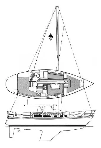 Slide: The Image of Catalina 1988 - 8