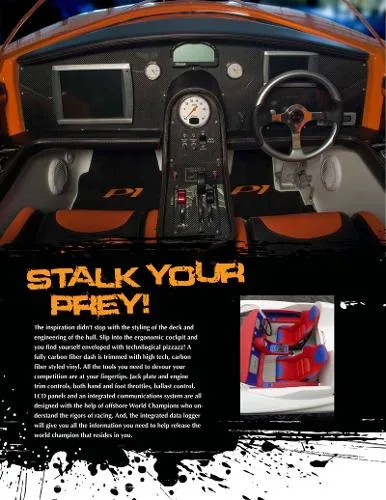 Slide: The Image of P1 USA 28 Panther 2012 - 4