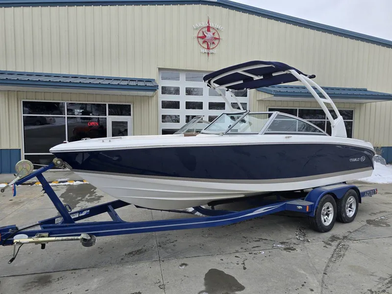 The Image of Cobalt 220 2013 - 1