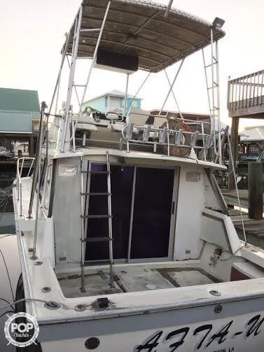 Slide: The Image of Silverton 34 Convertible 1984 - 2