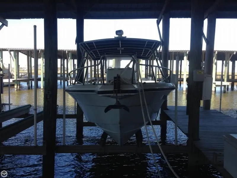 Slide: The Image of Stamas 290 Tarpon 1996 - 2