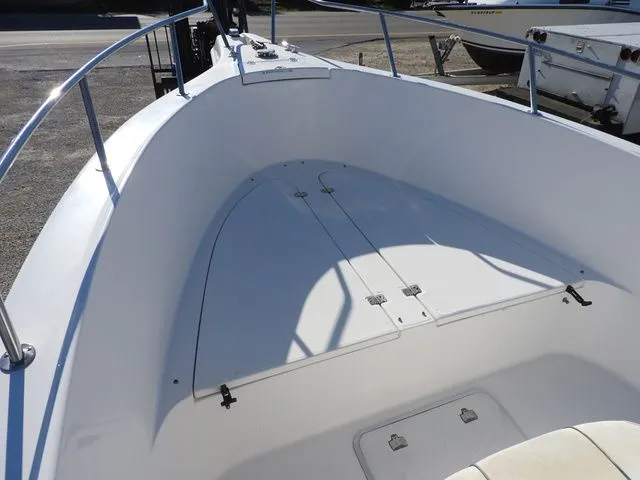 Slide: The Image of Cobia 234 2002 - 4