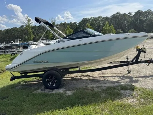 The Image of Scarab 195 ID 2024 - 1