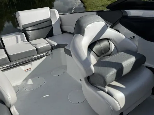 Slide: The Image of Scarab 195 ID 2024 - 14