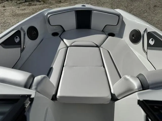 Slide: The Image of Scarab 195 ID 2024 - 16